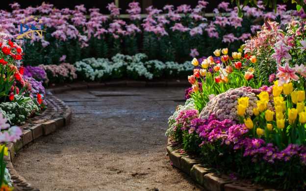 باغ گل ها مشهد